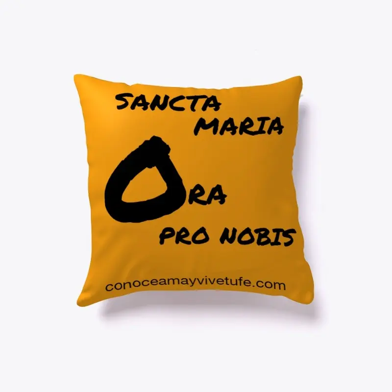 Sancta Maria Ora pro nobis