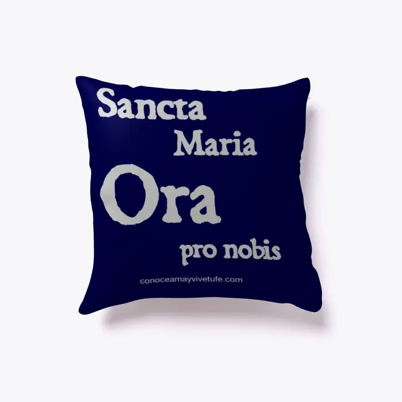 Santa Maria Ora pro nobis